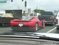 Ferrari Enzo