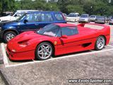 Ferrari F50