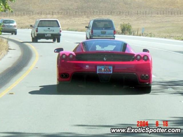 Ferrari Enzo spotted in Petaluma, California