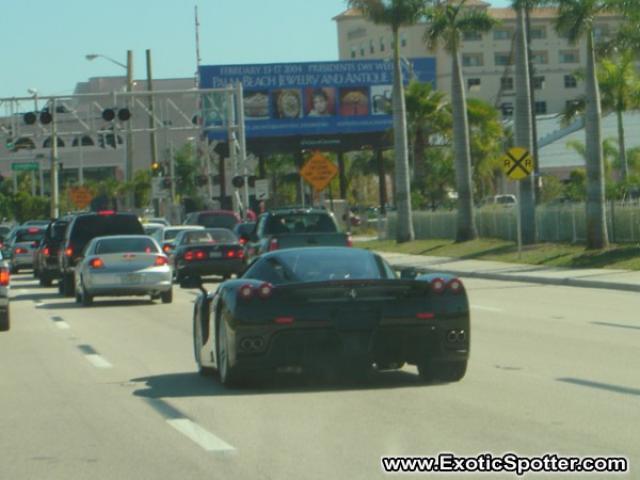 Ferrari Enzo spotted in Miami, Florida