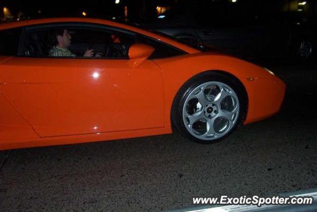 Lamborghini Gallardo spotted in Puerto Vallarta, Mexico