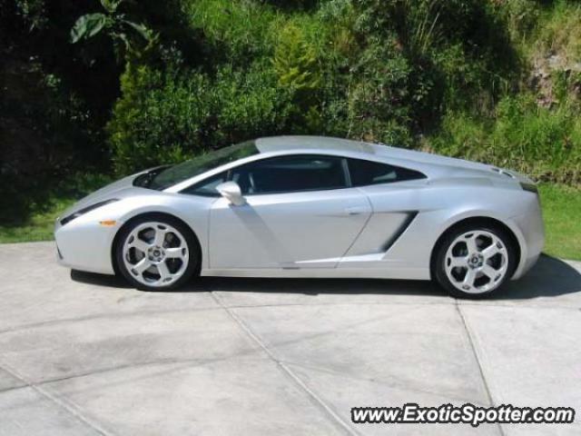 Lamborghini Gallardo spotted in Mexico City, Mexico