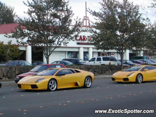 Lamborghini Murcielago spotted in Bellvue, Washington