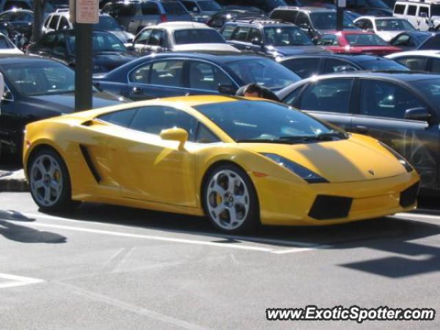 Lamborghini Gallardo spotted in Lake Grove, New York