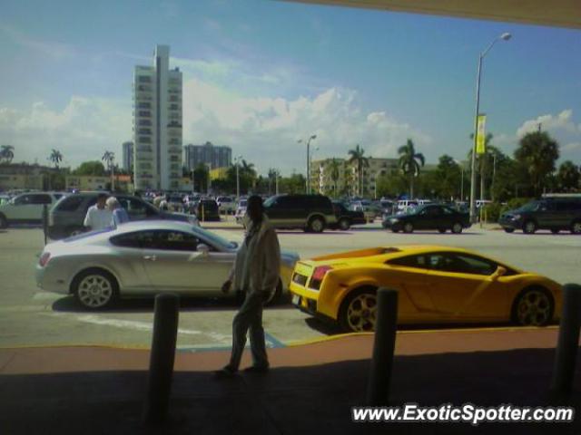 Lamborghini Gallardo spotted in Miami, Florida