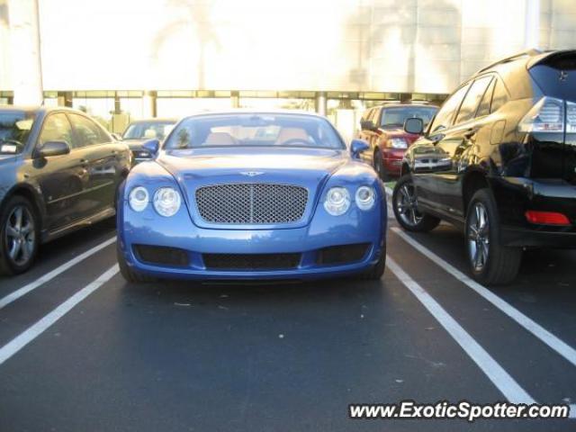 Bentley Continental spotted in Aventura, Florida