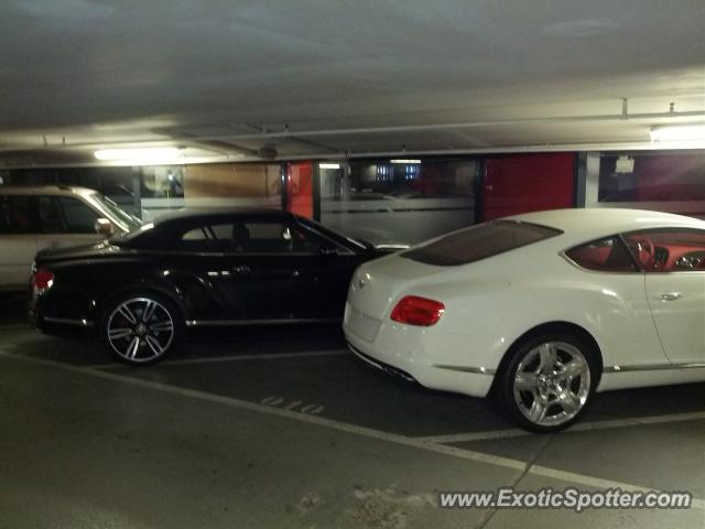 Bentley Continental spotted in Monte-Carlo, Monaco