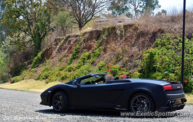 Lamborghini Gallardo spotted in Mexico City, Mexico