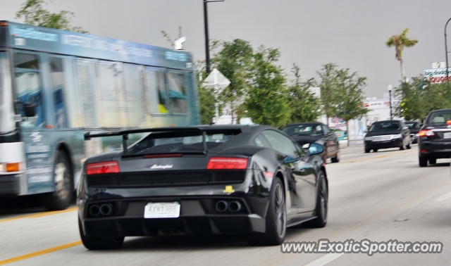 Lamborghini Gallardo spotted in Miami, Florida