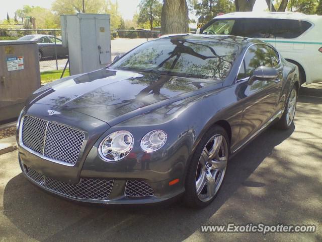 Bentley Continental spotted in Albuquerque, New Mexico