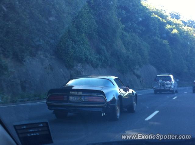 Other Vintage spotted in Wollongong, NSW, Australia