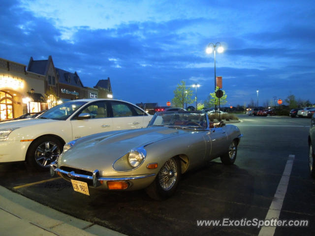 Jaguar E-Type spotted in Barrington, Illinois