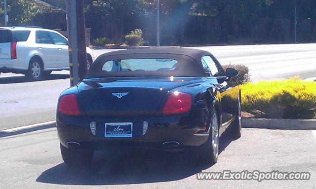 Bentley Continental spotted in Santa Rosa, California