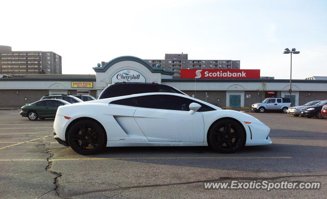 Lamborghini Gallardo spotted in London, Ontario, Canada