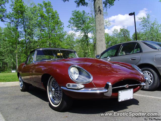 Jaguar E-Type spotted in Westerville, Ohio