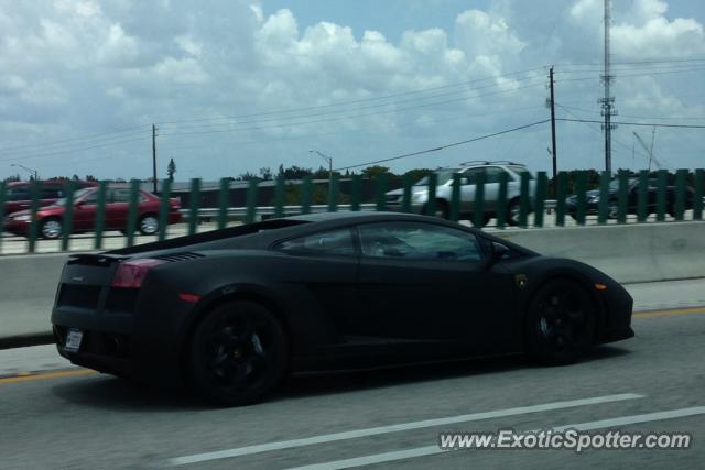 Lamborghini Gallardo spotted in Fort Lauderdale, Florida