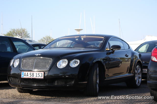 Bentley Continental spotted in Rungsted, Denmark