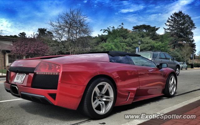 Lamborghini Murcielago spotted in Whitefish Bay, Wisconsin