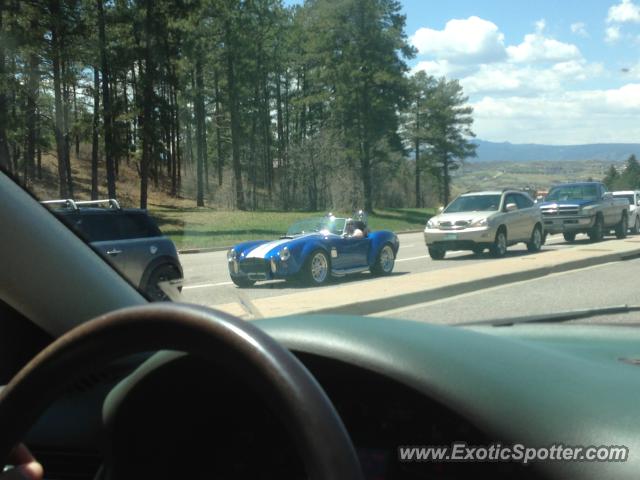 Shelby Cobra spotted in Castle rock, Colorado