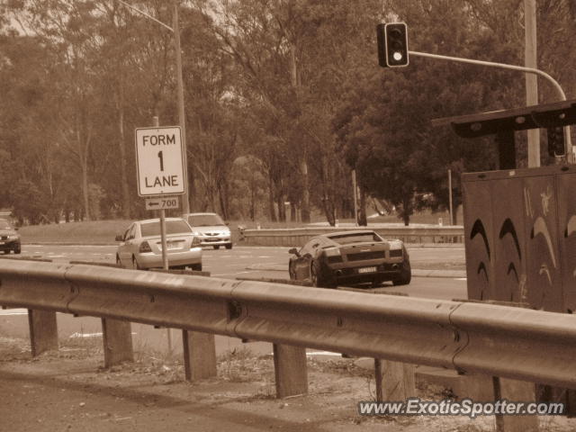 Lamborghini Gallardo spotted in Sydney, Australia