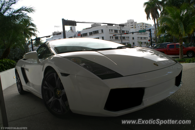 Lamborghini Gallardo spotted in Miami, Florida