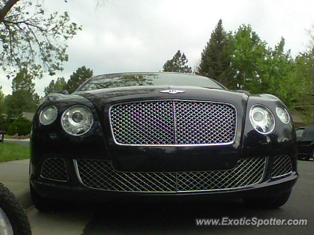 Bentley Continental spotted in Centennial, Colorado