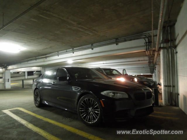 BMW M5 spotted in Chicago, Illinois
