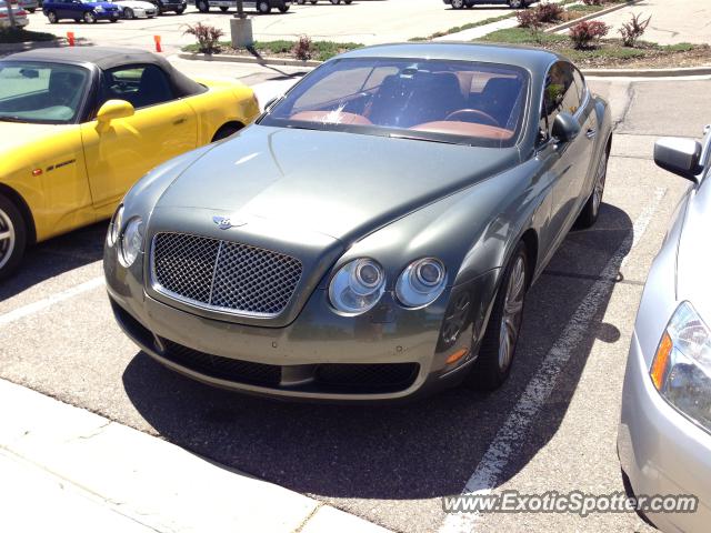 Bentley Continental spotted in Broomfield, Colorado