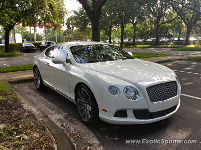 Bentley Continental spotted in Ocoee, Florida