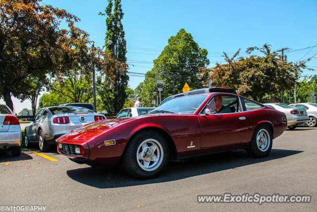 Ferrari 365 GT spotted in Greenwich, Connecticut