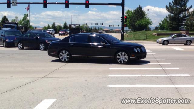 Bentley Continental spotted in Highlands ranch, Colorado