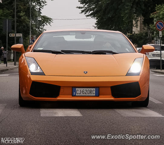 Lamborghini Gallardo spotted in Pianiga, Italy