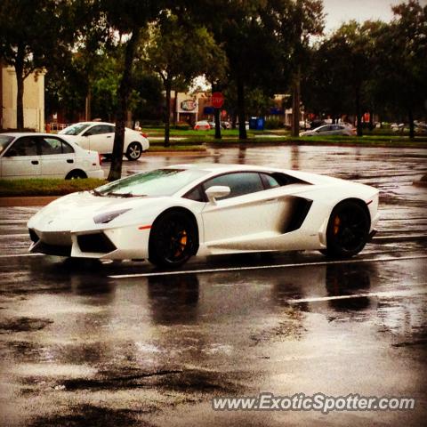 Lamborghini Aventador spotted in Boca Raton, Florida