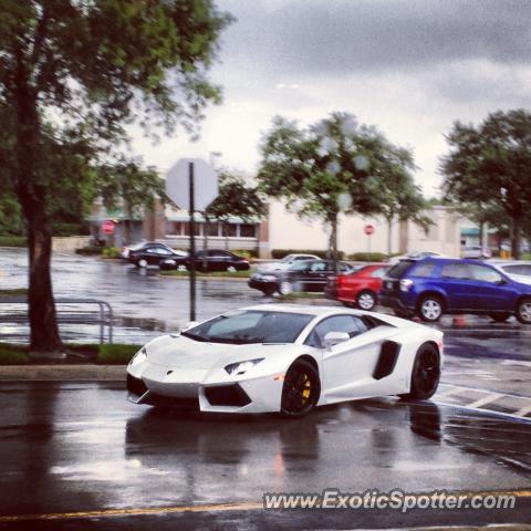 Lamborghini Aventador spotted in Boca Raton, Florida