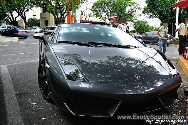 Lamborghini Gallardo spotted in Mexico City, Mexico