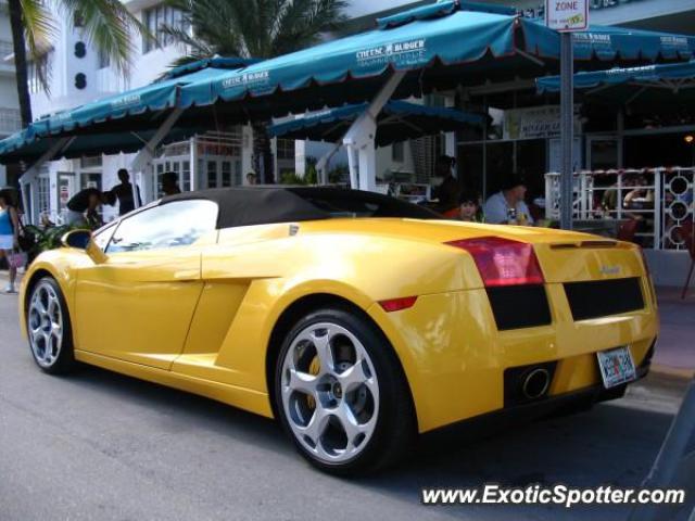 Lamborghini Gallardo spotted in Miami, Florida