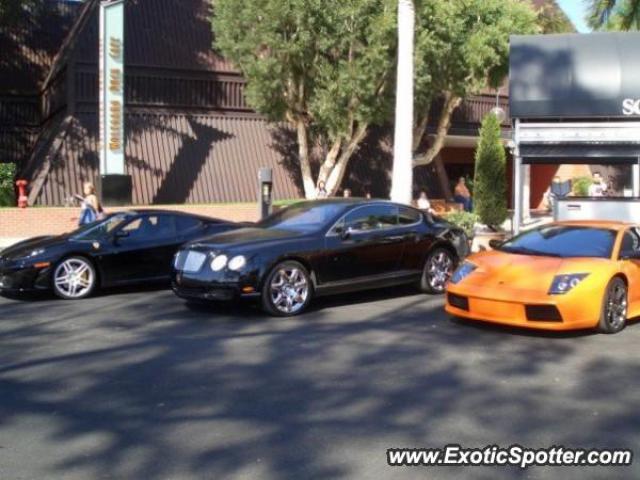 Lamborghini Murcielago spotted in Miami, Florida