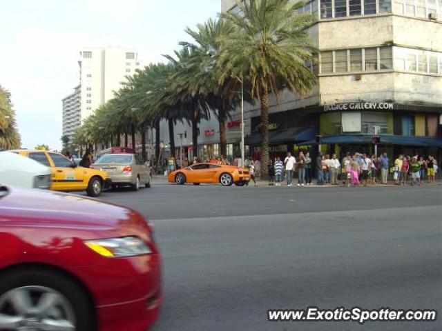 Lamborghini Gallardo spotted in Miami, Florida