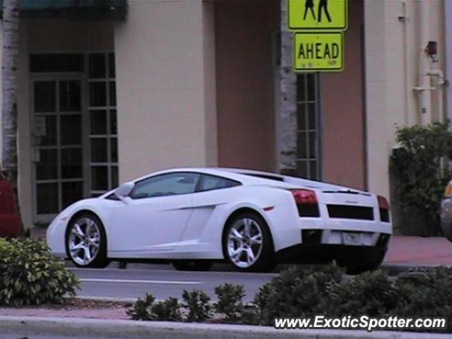 Lamborghini Gallardo spotted in Miami, Florida