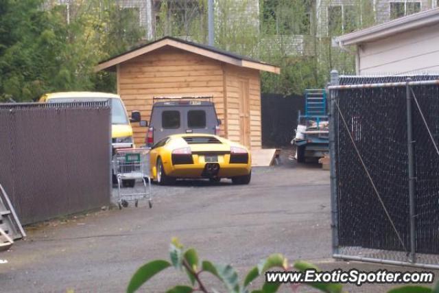 Lamborghini Murcielago spotted in Everett, Washington