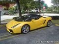 Lamborghini Gallardo