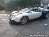 Bugatti Veyron