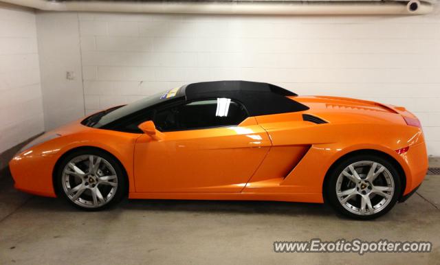 Lamborghini Gallardo spotted in Boston, Massachusetts