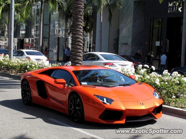 Lamborghini Aventador spotted in Beverly Hills, California