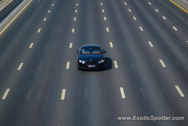 Bentley Continental spotted in Dubai, United Arab Emirates