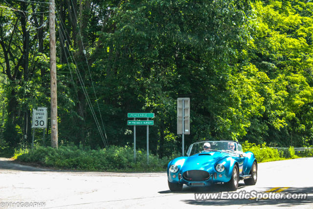 Shelby Cobra spotted in South Salem, New York