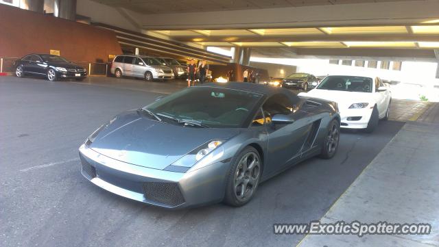 Lamborghini Gallardo spotted in Las Vegas, Nevada