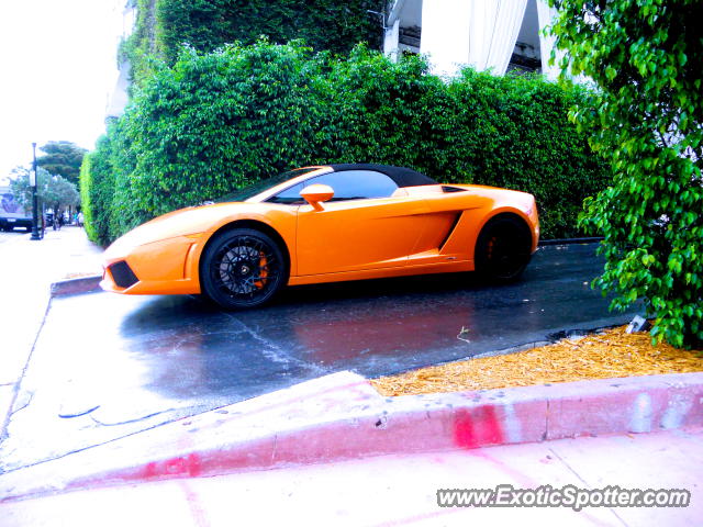 Lamborghini Gallardo spotted in Miami Beach, Florida