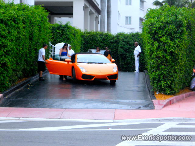 Lamborghini Gallardo spotted in Miami Beach, Florida