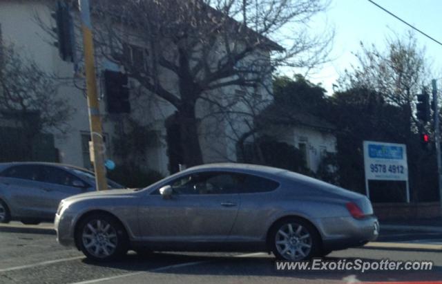 Bentley Continental spotted in Melbourne, Australia